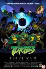 Watch Teenage Mutant Ninja Turtles Turtles Forever M4ufree