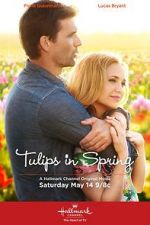 Watch Tulips in Spring M4ufree