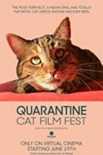 Watch Quarantine Cat Film Fest M4ufree