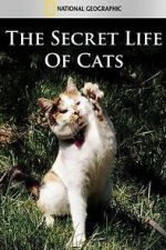 Watch The Secret Life of Cats M4ufree