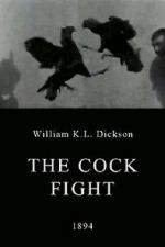 Watch The Cock Fight M4ufree