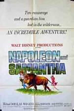 Watch Napoleon and Samantha M4ufree
