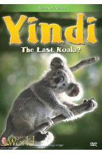 Watch Yindi the Last Koala M4ufree