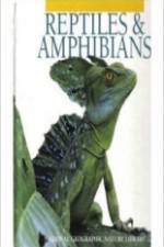 Watch Reptiles and Amphibians M4ufree