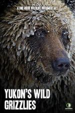 Watch Yukon\'s Wild Grizzlies M4ufree