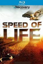 Watch Speed of Life M4ufree