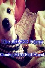 Watch The 60,000 Puppy: Cloning Man's Best Friend M4ufree