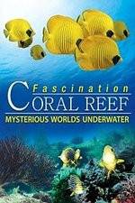Watch Fascination Coral Reef: Mysterious Worlds Underwater M4ufree