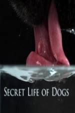 Watch Secret Life of Dog M4ufree