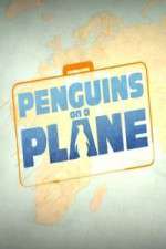 Watch Penguins on a Plane M4ufree