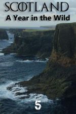 Watch Scotland: A Wild Year M4ufree