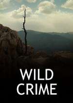 Watch Wild Crime M4ufree