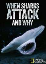 Watch When Sharks Attack... And Why M4ufree