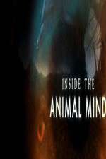 Watch Inside the Animal Mind M4ufree