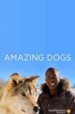 Watch Amazing Dogs M4ufree