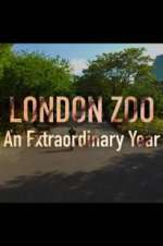 Watch London Zoo: An Extraordinary Year M4ufree