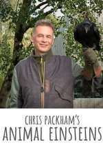 Watch Chris Packham's Animal Einsteins M4ufree