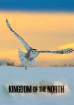 Watch Kingdom of the North M4ufree