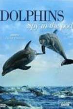 Watch Dolphins: Spy in the Pod M4ufree