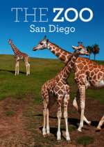 Watch The Zoo: San Diego M4ufree