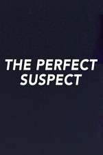 Watch The Perfect Suspect M4ufree