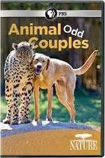 Watch Animal Odd Couples M4ufree