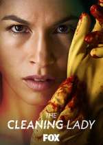 Watch The Cleaning Lady M4ufree