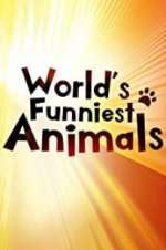 Watch The World\'s Funniest Animals M4ufree