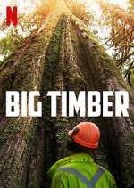 Watch Big Timber M4ufree
