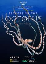 Secrets of the Octopus m4ufree