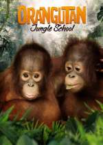 Watch Orangutan Jungle School M4ufree