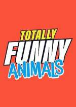 Watch Totally Funny Animals M4ufree