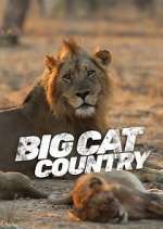 Watch Big Cat Country M4ufree