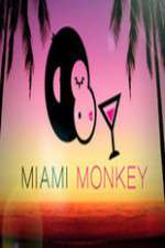 Watch Miami Monkey M4ufree