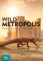 Watch Wild Metropolis M4ufree