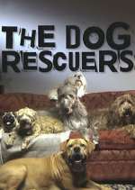 Watch The Dog Rescuers with Alan Davies M4ufree