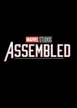 Marvel Studios: Assembled m4ufree