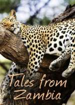 Watch Tales from Zambia M4ufree