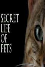 Watch The Secret Life of Pets M4ufree
