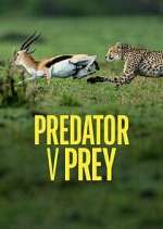 Watch Predator v Prey M4ufree