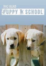Watch Dog Squad: Puppy School M4ufree
