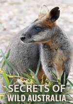 Watch Secrets of Wild Australia M4ufree