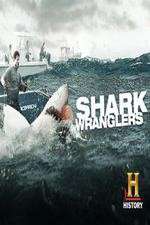 Watch Shark Wranglers M4ufree