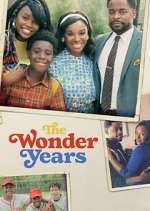 Watch The Wonder Years M4ufree