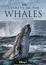 Watch Secrets of the Whales M4ufree