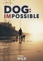 Watch Dog: Impossible M4ufree